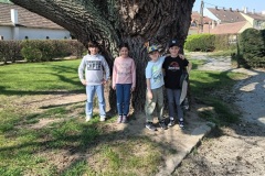 IMG_20260417_104513