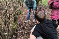 Bild6