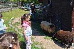 20250513_113636_Isa-min