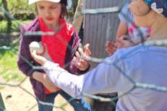 20250513_113833_Isa-min