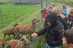 WhatsApp-Image-2025-09-23-at-12.39.58