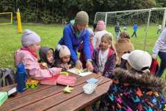 IMG-20251001-WA0010